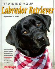 LABRADOR RETRIEVER TRAINING YOUR