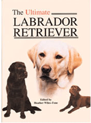 LABRADOR RETRIEVER THE ULTIMATE