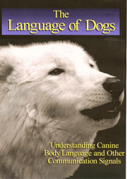 THE LANGUAGE OF DOGS DVD