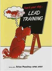TEACH YOUR DOG LEAD TRAINING (WALKING ON A LOOSE LEAD)