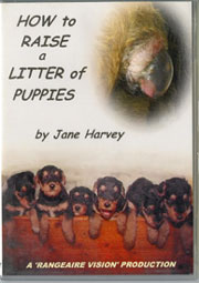 HOW TO RAISE A LITTER OF PUPPIES DVD