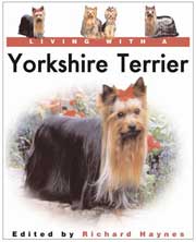 YORKSHIRE TERRIER  LIVING WITH