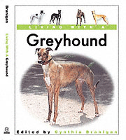 GREYHOUND LIVING WITH A
