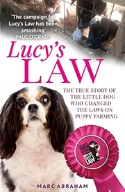 LUCY'S LAW by MARC ABRAHAM - POST FREE