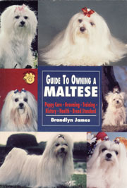 MALTESE GUIDE TO OWNING A