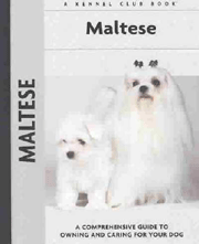 MALTESE (Interpet)