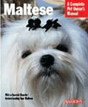 MALTESE DOGS (BARRON)