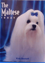 MALTESE TODAY