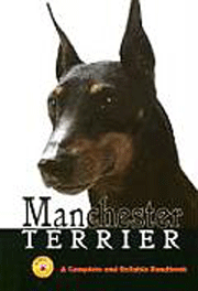 MANCHESTER TERRIER