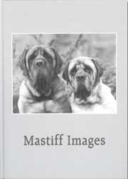 MASTIFF IMAGES