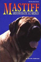 MASTIFF ARISOCRATIC GUARDIAN (Doral)