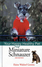 SCHNAUZER MINIATURE HAPPY HEALTHY