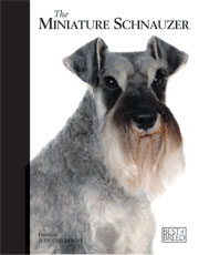 MINIATURE SCHNAUZER - BEST OF BREED