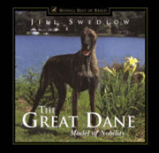 GREAT DANE MODEL OF NOBILITY