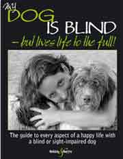 MY DOG IS BLIND BUT LIVES LIFE TO THE FULL