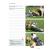 DOGS IN TRANSLATION & WORKBOOK - view 7