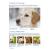 DOGS IN TRANSLATION & WORKBOOK - view 2