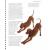 Real Dog Yoga  - view 2