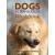 DOGS IN TRANSLATION: WORKBOOK - view 1