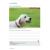 DOGS IN TRANSLATION: WORKBOOK - view 4