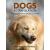 DOGS IN TRANSLATION - view 1