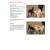DOGS IN TRANSLATION & WORKBOOK - view 10