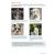 DOGS IN TRANSLATION & WORKBOOK - view 5