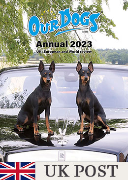 OUR DOGS ANNUAL 2023 - WITH UK ONLY POST