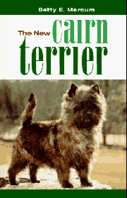 CAIRN TERRIER NEW