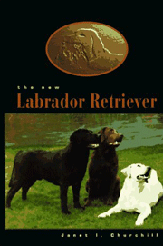 LABRADOR RETRIEVER NEW