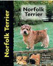 NORFOLK TERRIER (Interpet) - OUT OF STOCK