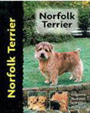 NORFOLK TERRIER