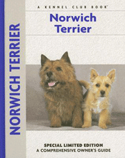 NORWICH TERRIER (Interpet / Kennel Club) - OUT OF STOCK