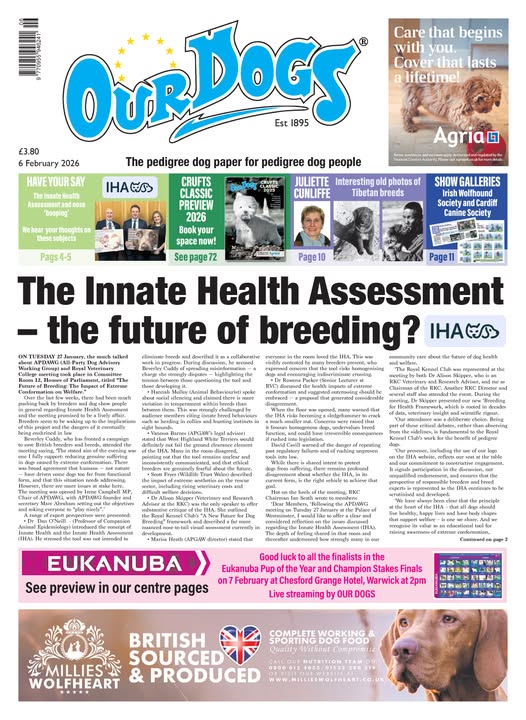 OUR-DOGS 6TH FEBRUARY 2026