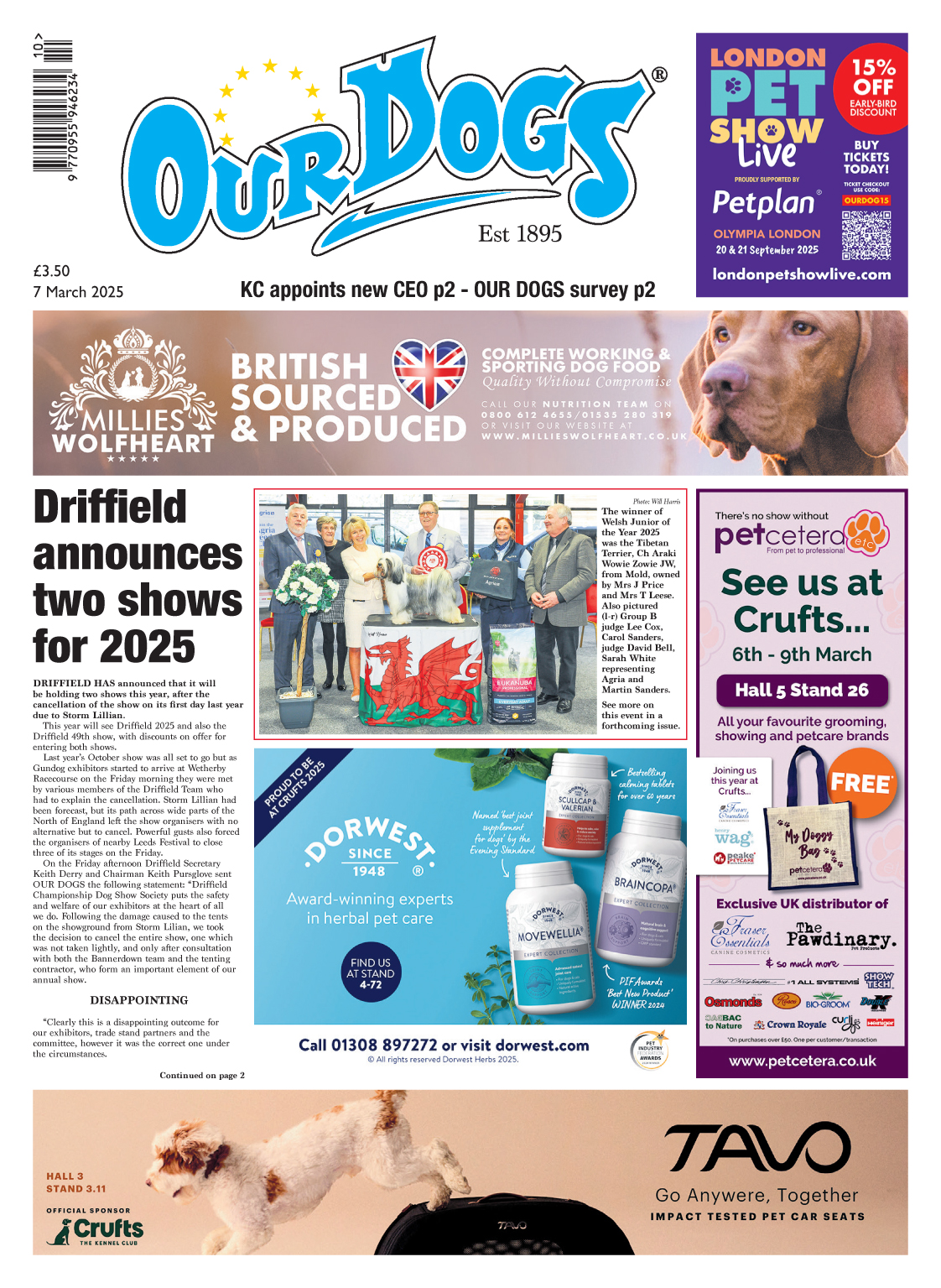 OUR-DOGS 7TH MARCH 2025