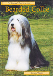 BEARDED COLLIE