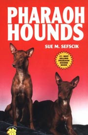 PHARAOH HOUND