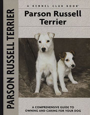 PARSON RUSSELL TERRIER