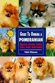 POMERANIAN GUIDE TO OWNING A