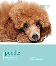 POODLE (DOG EXPERT)