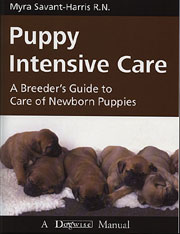 PUPPY INTENSIVE CARE