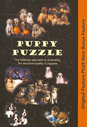PUPPY PUZZLE DVD