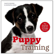 PUPPY TRAINING