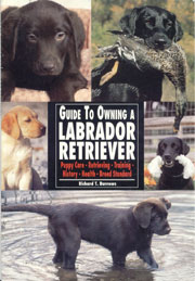 LABRADOR RETRIEVER GUIDE TO OWNING A 