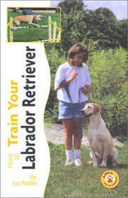 LABRADOR RETRIEVER HOW TO TRAIN YOUR 