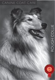 ROUGH COLLIE GROOMING DVD