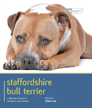 STAFFORDSHIRE BULL TERRIER (DOG EXPERT)