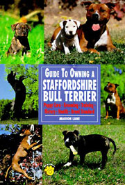 STAFFORDSHIRE BULL TERRIER GUIDE TO OWNING A