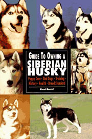 SIBERIAN HUSKY GUIDE TO OWNING A