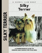 SILKY TERRIER (Interpet / Kennel Club)